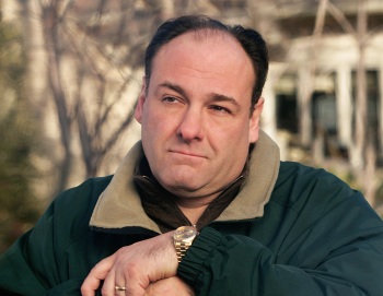 Gandolfini se hizo famoso como Tony Soprano el personaje principal de la serie "The Sopranos"